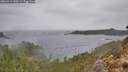 ./images/calvert/foggy-cove/20260319/foggy-cove20260319_130501M.jpg