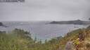 ./images/calvert/foggy-cove/20260319/foggy-cove20260319_131501M.jpg