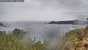 ./images/calvert/foggy-cove/20260319/foggy-cove20260319_133001M.jpg