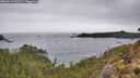 ./images/calvert/foggy-cove/20260319/foggy-cove20260319_142501M.jpg