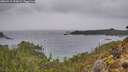 ./images/calvert/foggy-cove/20260319/foggy-cove20260319_154001M.jpg