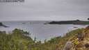 ./images/calvert/foggy-cove/20260319/foggy-cove20260319_161002M.jpg