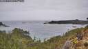 ./images/calvert/foggy-cove/20260319/foggy-cove20260319_163001M.jpg