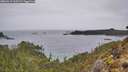 ./images/calvert/foggy-cove/20260319/foggy-cove20260319_163501M.jpg
