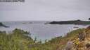 ./images/calvert/foggy-cove/20260319/foggy-cove20260319_164001M.jpg