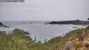 ./images/calvert/foggy-cove/20260319/foggy-cove20260319_164502M.jpg