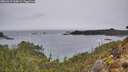 ./images/calvert/foggy-cove/20260319/foggy-cove20260319_165001M.jpg