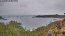 ./images/calvert/foggy-cove/20260319/foggy-cove20260319_174001M.jpg
