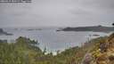 ./images/calvert/foggy-cove/20260319/foggy-cove20260319_180502M.jpg