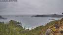 ./images/calvert/foggy-cove/20260319/foggy-cove20260319_184502M.jpg