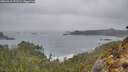 ./images/calvert/foggy-cove/20260319/foggy-cove20260319_191501M.jpg