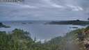 ./images/calvert/foggy-cove/20260320/foggy-cove20260320_072501M.jpg