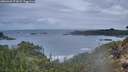 ./images/calvert/foggy-cove/20260320/foggy-cove20260320_073001M.jpg