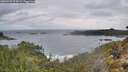 ./images/calvert/foggy-cove/20260320/foggy-cove20260320_074501M.jpg