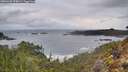 ./images/calvert/foggy-cove/20260320/foggy-cove20260320_075001M.jpg