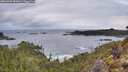 ./images/calvert/foggy-cove/20260320/foggy-cove20260320_080001M.jpg