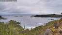 ./images/calvert/foggy-cove/20260320/foggy-cove20260320_080501M.jpg