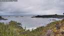 ./images/calvert/foggy-cove/20260320/foggy-cove20260320_081002M.jpg