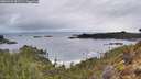 ./images/calvert/foggy-cove/20260320/foggy-cove20260320_081501M.jpg