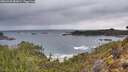 ./images/calvert/foggy-cove/20260320/foggy-cove20260320_083001M.jpg