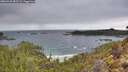 ./images/calvert/foggy-cove/20260320/foggy-cove20260320_083501M.jpg