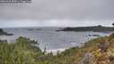 ./images/calvert/foggy-cove/20260320/foggy-cove20260320_084001M.jpg