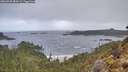 ./images/calvert/foggy-cove/20260320/foggy-cove20260320_084501M.jpg