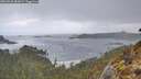 ./images/calvert/foggy-cove/20260320/foggy-cove20260320_085001M.jpg