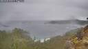 ./images/calvert/foggy-cove/20260320/foggy-cove20260320_105501M.jpg