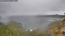 ./images/calvert/foggy-cove/20260320/foggy-cove20260320_111001M.jpg