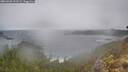 ./images/calvert/foggy-cove/20260320/foggy-cove20260320_112501M.jpg