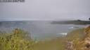 ./images/calvert/foggy-cove/20260320/foggy-cove20260320_114001M.jpg