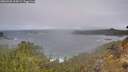 ./images/calvert/foggy-cove/20260320/foggy-cove20260320_114501M.jpg