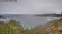 ./images/calvert/foggy-cove/20260320/foggy-cove20260320_115001M.jpg