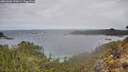 ./images/calvert/foggy-cove/20260320/foggy-cove20260320_120501M.jpg