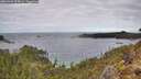 ./images/calvert/foggy-cove/20260320/foggy-cove20260320_125001M.jpg