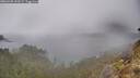 ./images/calvert/foggy-cove/20260320/foggy-cove20260320_143501M.jpg