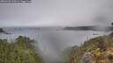 ./images/calvert/foggy-cove/20260320/foggy-cove20260320_145001M.jpg