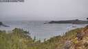 ./images/calvert/foggy-cove/20260321/foggy-cove20260321_132501M.jpg