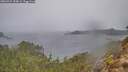 ./images/calvert/foggy-cove/20260321/foggy-cove20260321_154001M.jpg