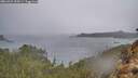 ./images/calvert/foggy-cove/20260321/foggy-cove20260321_154501M.jpg