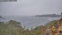 ./images/calvert/foggy-cove/20260321/foggy-cove20260321_174001M.jpg