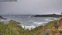 ./images/calvert/foggy-cove/20260322/foggy-cove20260322_100001M.jpg