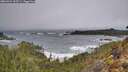 ./images/calvert/foggy-cove/20260322/foggy-cove20260322_103501M.jpg
