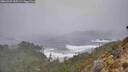 ./images/calvert/foggy-cove/20260322/foggy-cove20260322_105501M.jpg