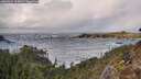 ./images/calvert/foggy-cove/20260322/foggy-cove20260322_145002M.jpg