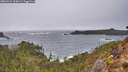 ./images/calvert/foggy-cove/20260322/foggy-cove20260322_160001M.jpg
