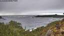 ./images/calvert/foggy-cove/20260322/foggy-cove20260322_162501M.jpg