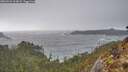 ./images/calvert/foggy-cove/20260322/foggy-cove20260322_163001M.jpg
