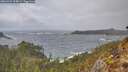 ./images/calvert/foggy-cove/20260322/foggy-cove20260322_164001M.jpg